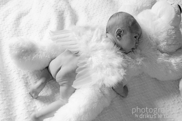 baby photography cape town